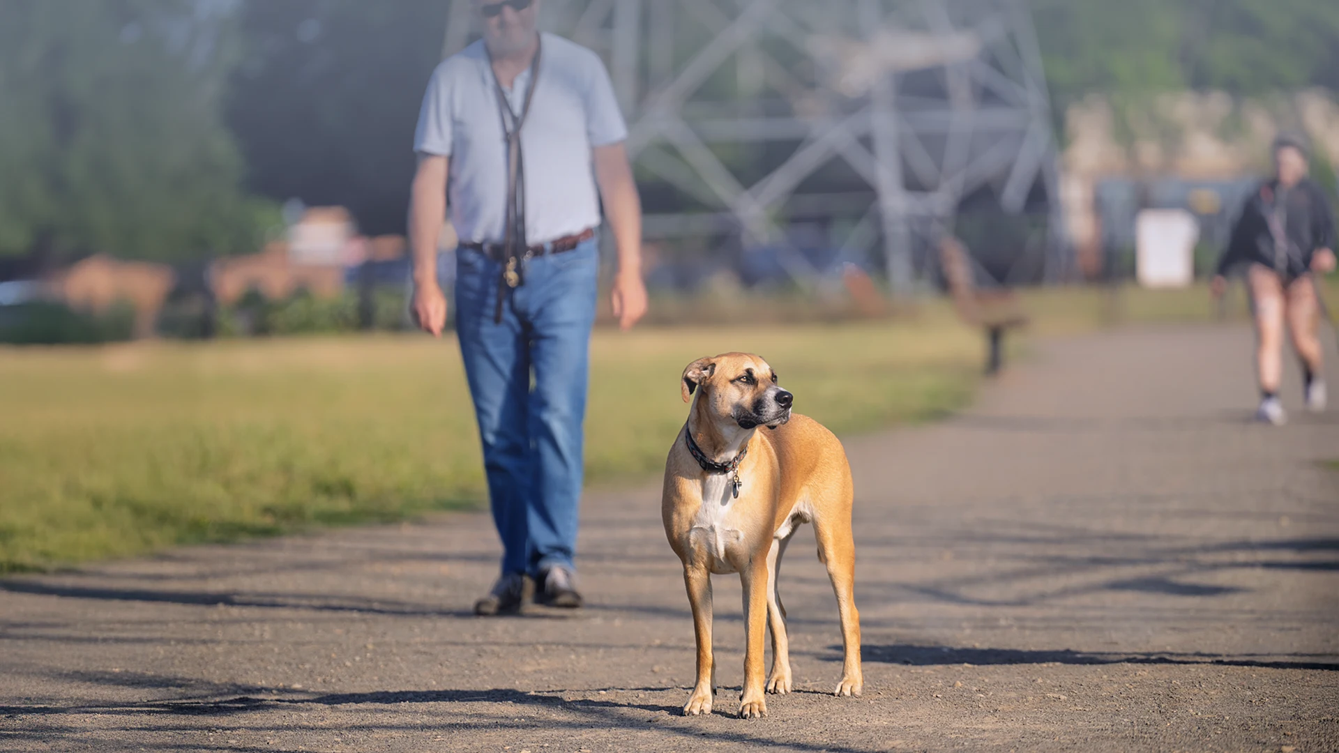 DOGPAW DOG PARKS