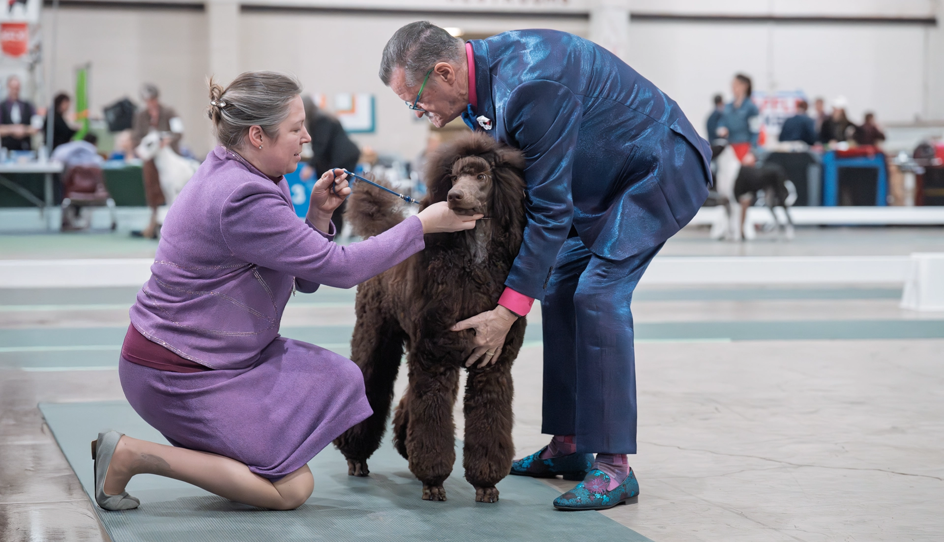 Columbia Poodle Club Specialty